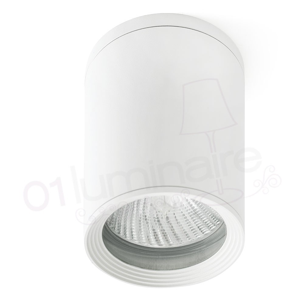 Spot plafonnier blanc 15W (copie)