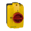 [SCHNEIDER] Interrupteur sectionneur en coffret d'arrêt d'urgence intégré 3P 32A