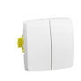 Interrupteur, va-et-vient ou poussoir double appareillage saillie composable blanc - bornes automatiques